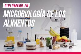diplomado-en-microbiologia-de-los-alimentos