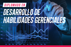 desarrollo de habilidades gerneciales