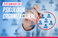 psicologia organizacional