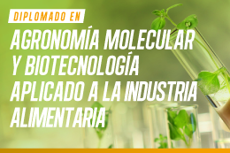 diplomado-en-agronomia-molecular