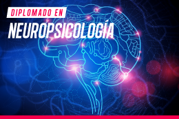 diplomado-en-neuropsicologia